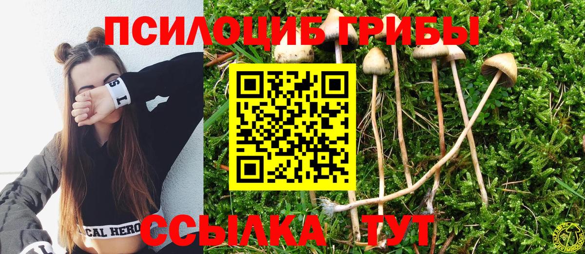 Галлюциногенные грибы GOLDEN TEACHER Валуйки